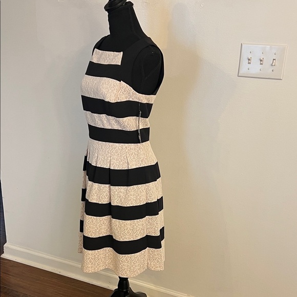 NWT Tahari Black and Cream Striped Lace Dress, Sz 6 - Picture 3 of 13